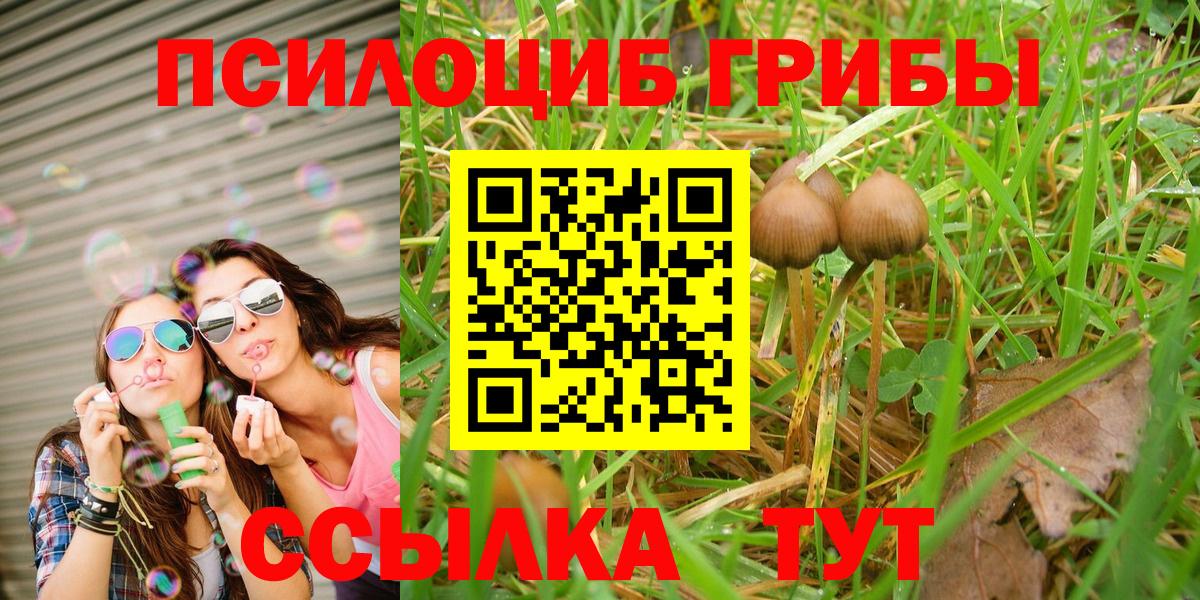 Псилоцибиновые грибы GOLDEN TEACHER  Вход с VPN  Луга 